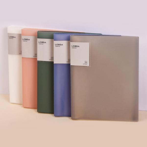 롭다 클리어파일 A4 40P Sage Green